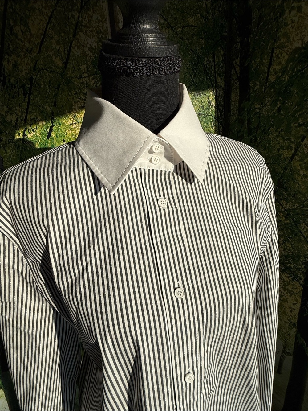 Lafayette 148 New York Shimmer Pinstripe Stretch Cotton Contrast Collar Blouse
